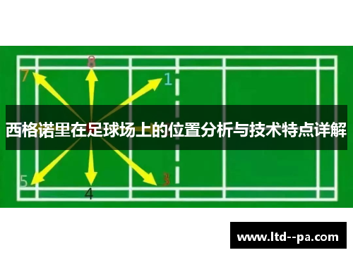 西格诺里在足球场上的位置分析与技术特点详解