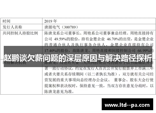 赵鹏谈欠薪问题的深层原因与解决路径探析