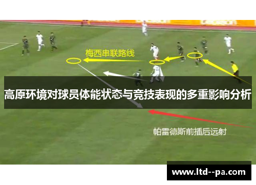 高原环境对球员体能状态与竞技表现的多重影响分析 高原环境对球员体能状态与竞技表现的多重影响分析